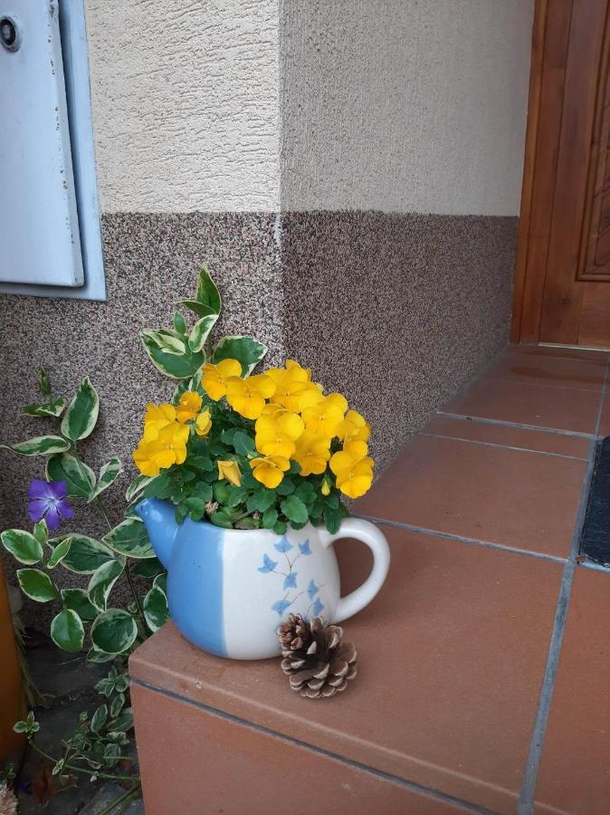 Apartmány pod Hradem Holstejn Exterior foto